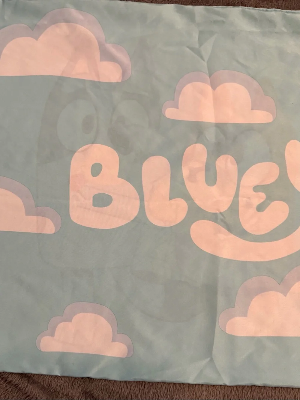 Bluey One Standard Size  Pillowcase Bluey Bingo Multicolor